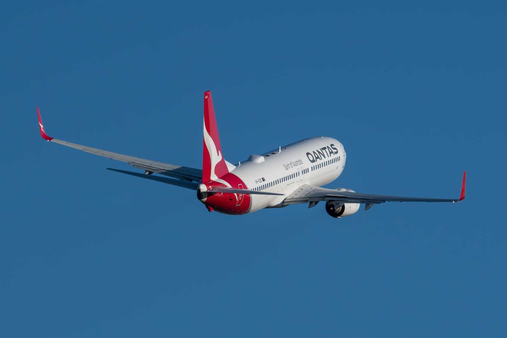 Qantas Boeing 737-800 In Flight