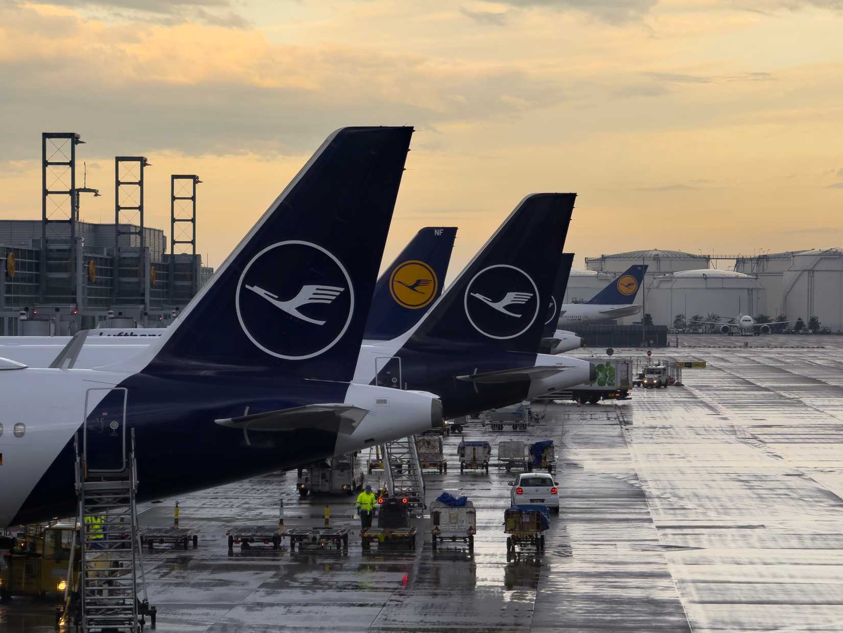 Lufthansa tails at Frankfurt Airport