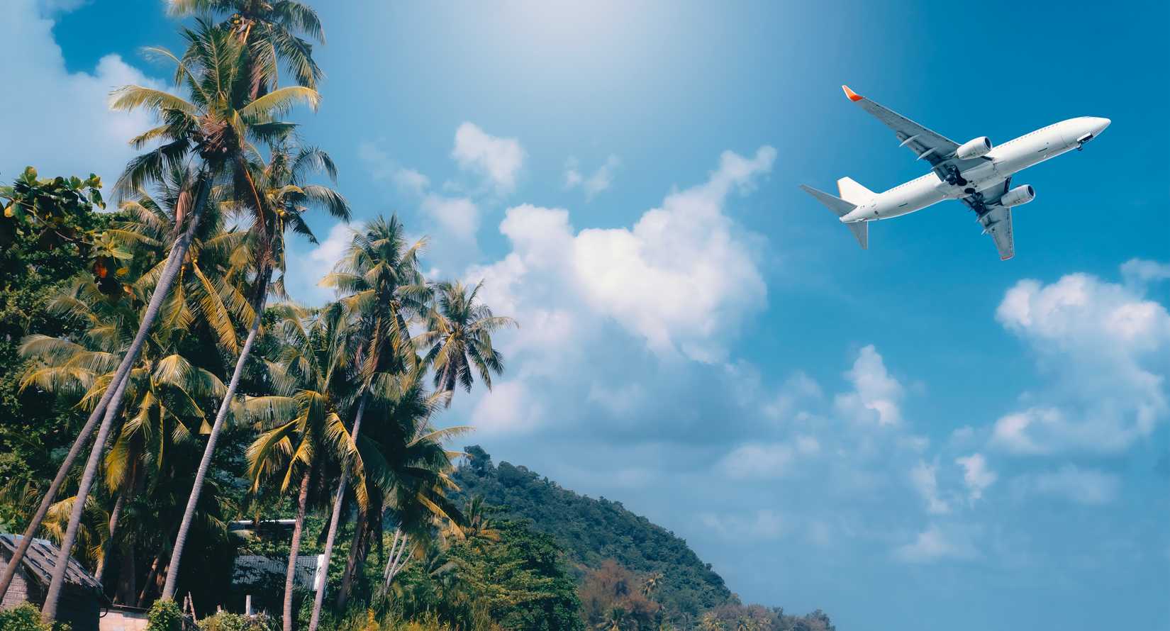 airplane flies through blue sky and white clouds above a summer beach with coconut palm trees, turquoise ocean water, and golden sand during a nature vacation on a sunny island coast