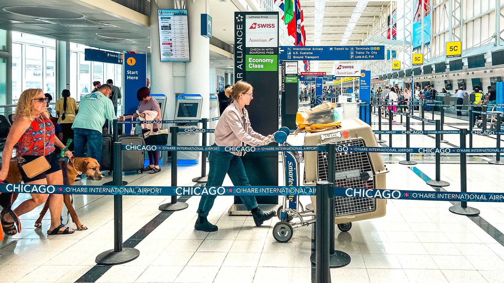 Two women entering the check-in gate with a dog and large crate
