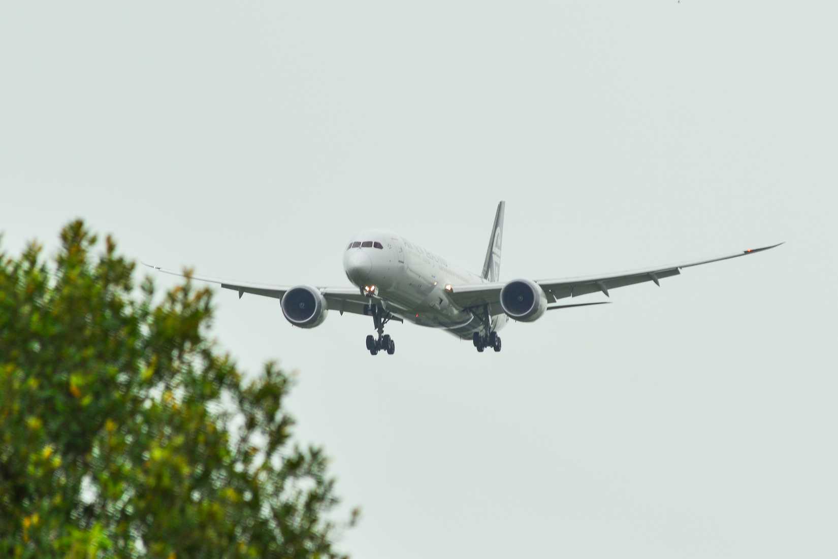 Air New Zealand 787-9 Singapore Phuong D. Nguyen  Shutterstoc