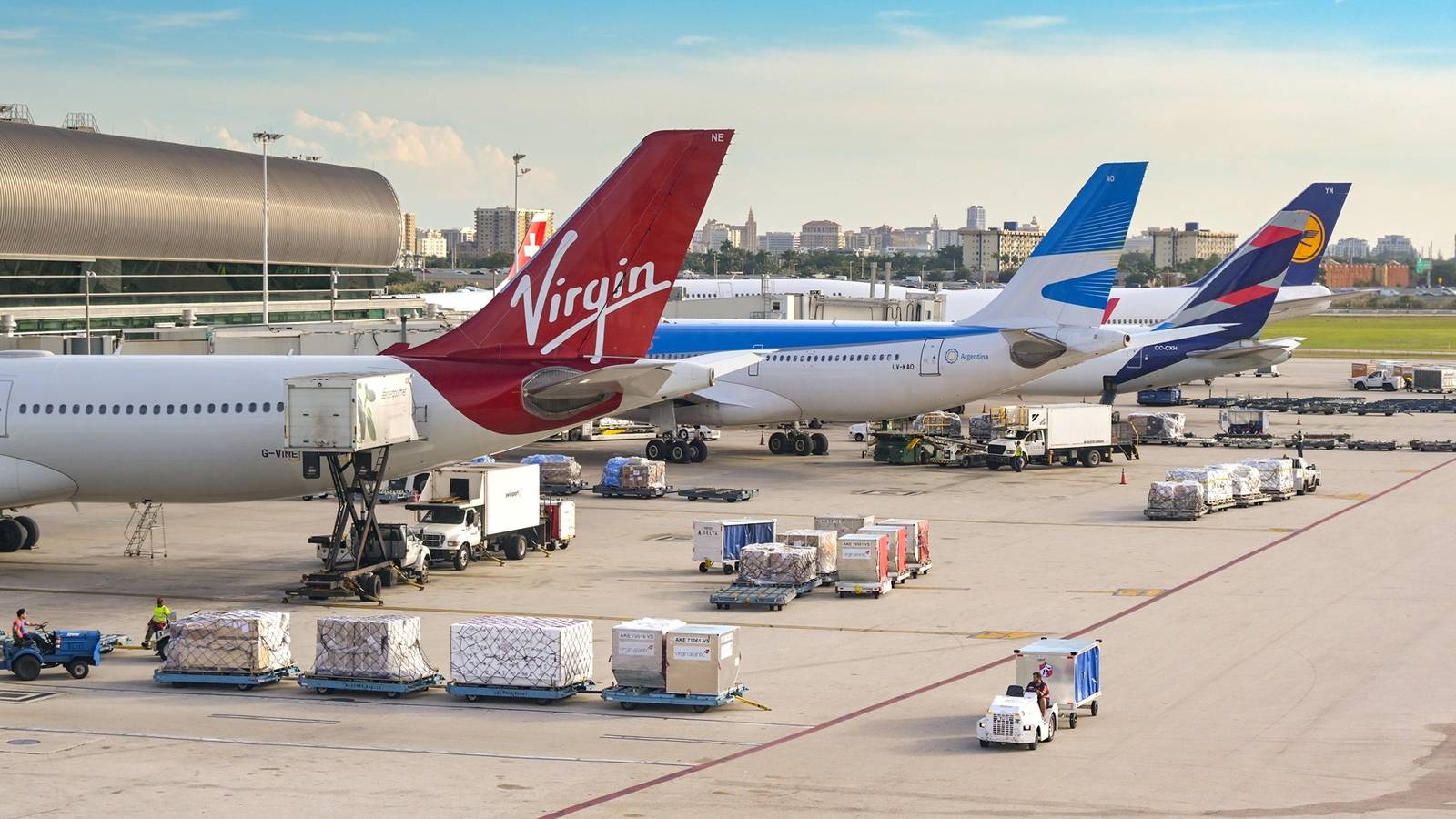Two men arrested at Miami Airport for smuggling live birds in clothing
