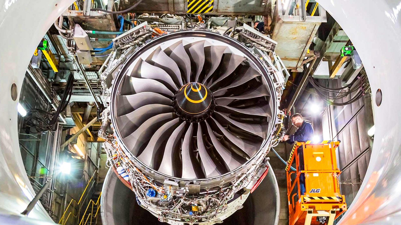 FAA and EASA set strict bird‑ingestion certification standards for jet engines