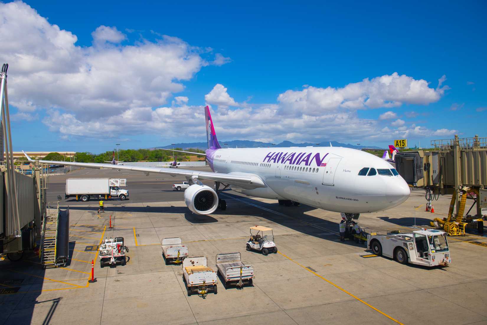 Hawaiian Airlines Airbus 330-200 N375HA at Daniel K. Inouye International Airport (HNL), Honolulu, Hawaii -1