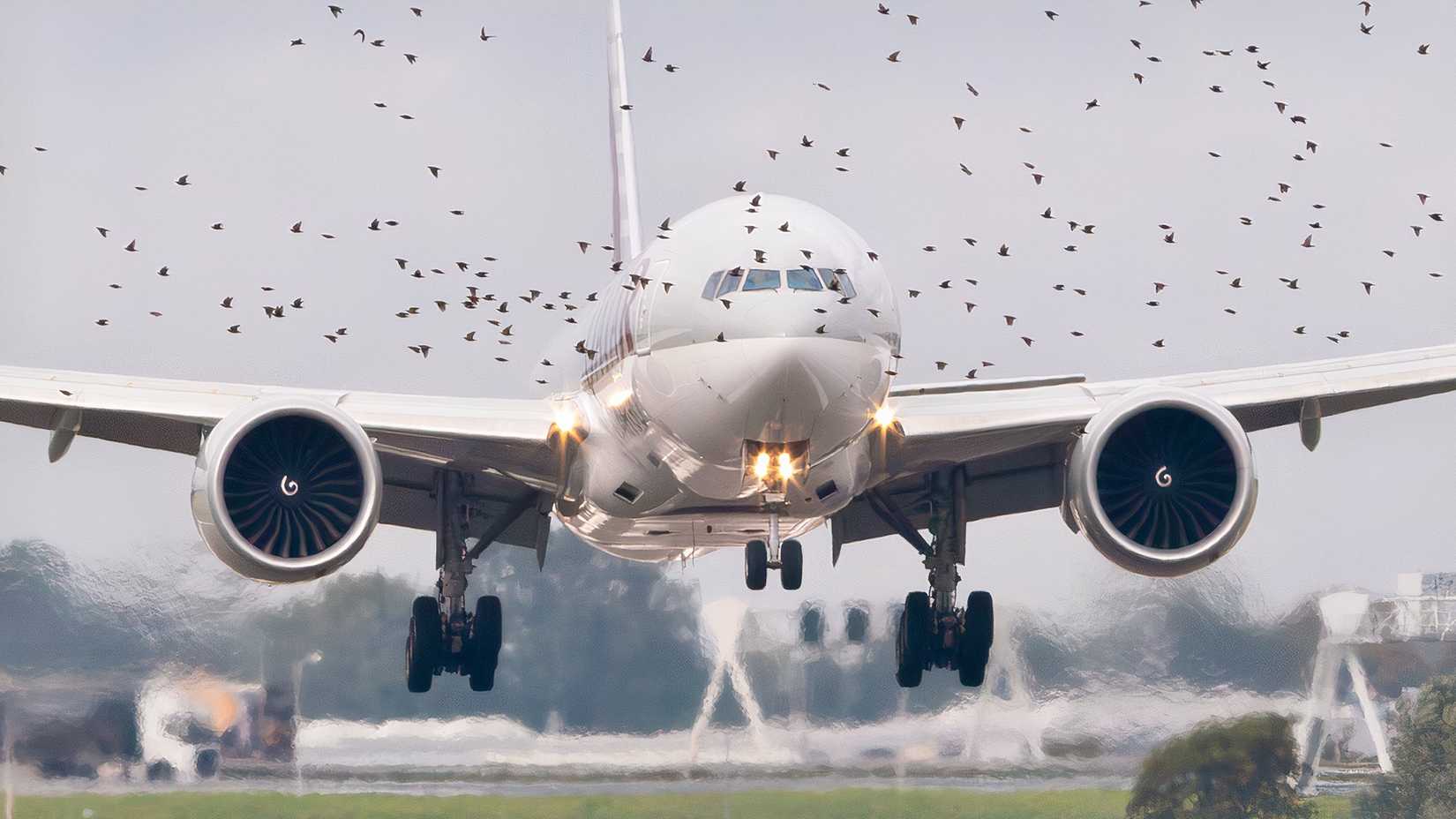 Qatar 777 at AMS
