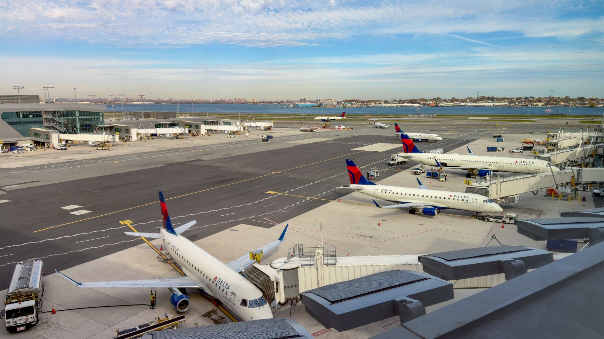 Smell It Or Be Delayed: Pilot Holds Pre-Flight Vote After Dog Urinates On Plane