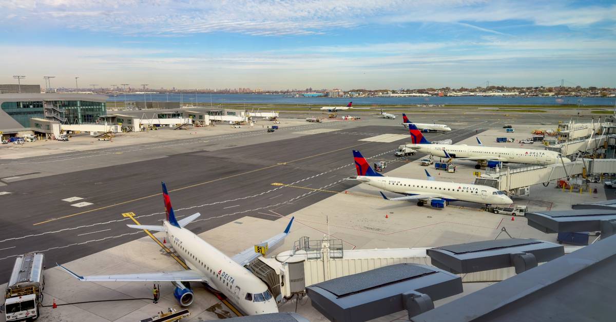 Smell It Or Be Delayed: Pilot Holds Pre-Flight Vote After Dog Urinates On Plane