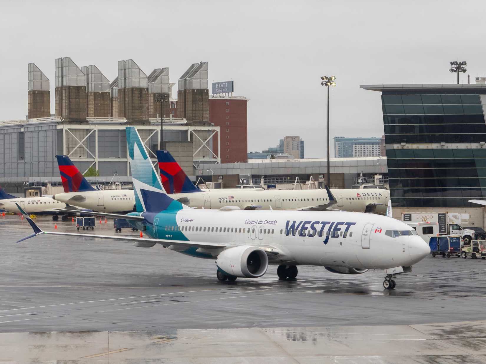 WestJet Boeing 737 MAX 8 in Boston