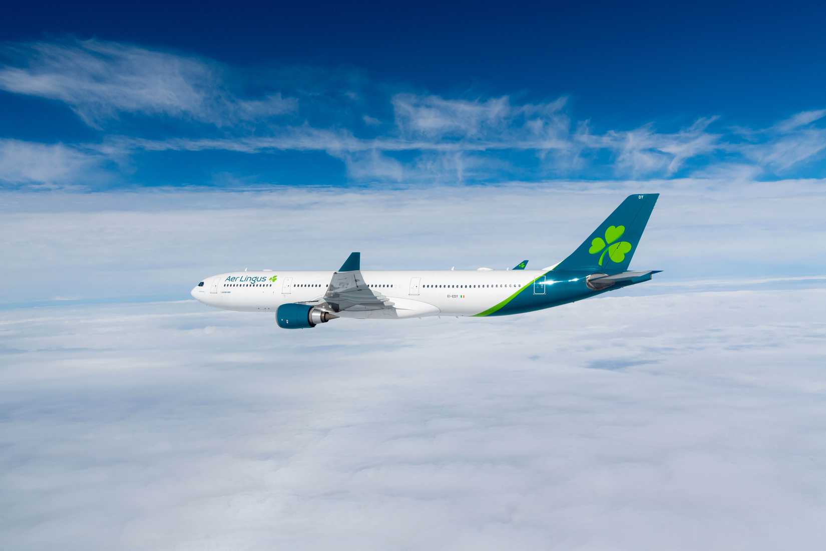 Aer Lingus A330 Inflight